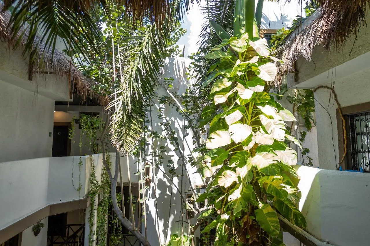 ****  Posada Mariposa Boutique Hotel - 5Th Avenue Playa del Carmen Messico