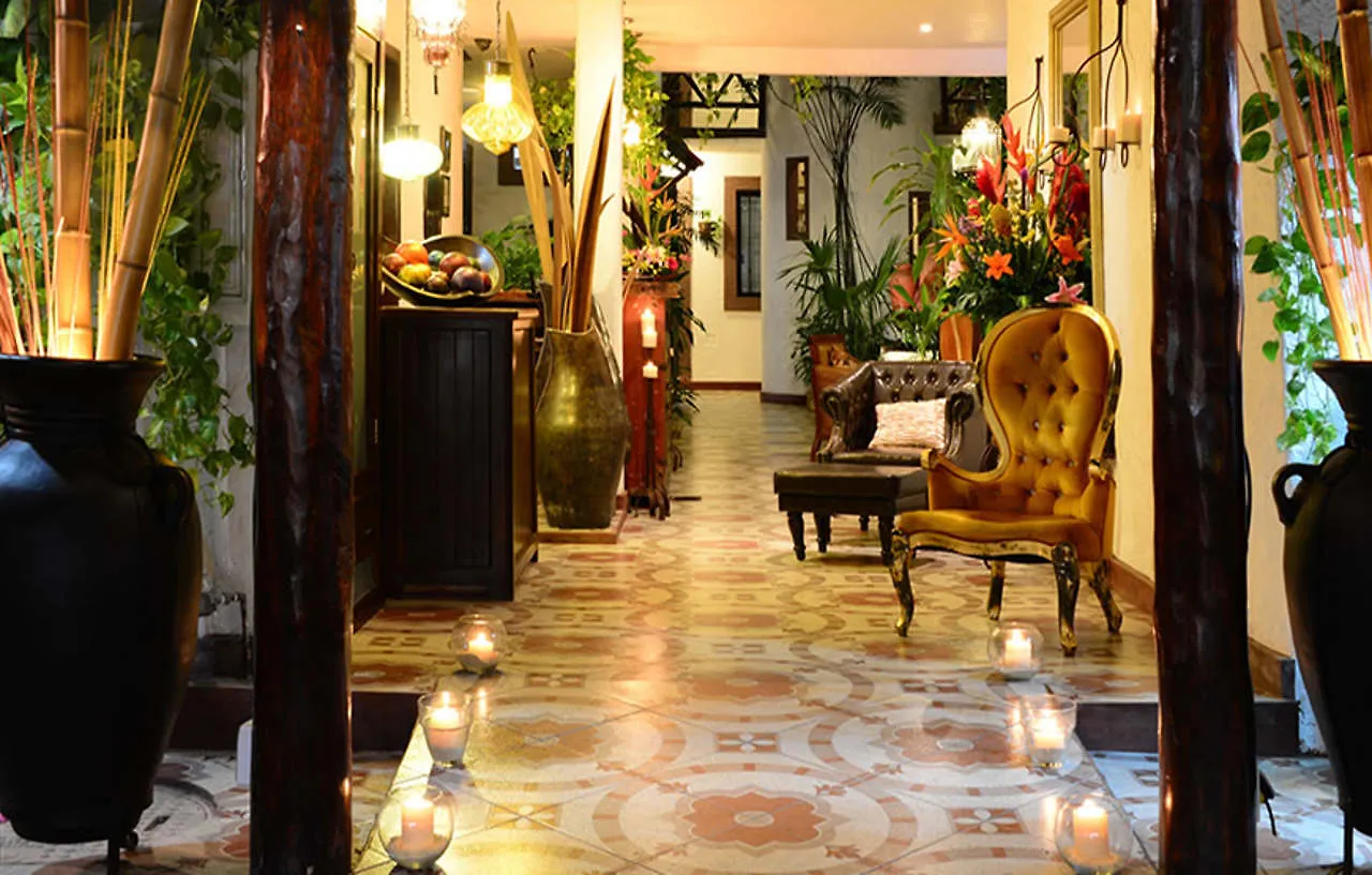 Posada Mariposa Boutique Hotel - 5Th Avenue Playa del Carmen Messico